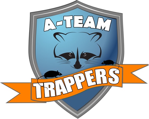 A-Team Trappers