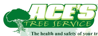 Ace's Tree Service
