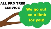 All Pro Tree Service