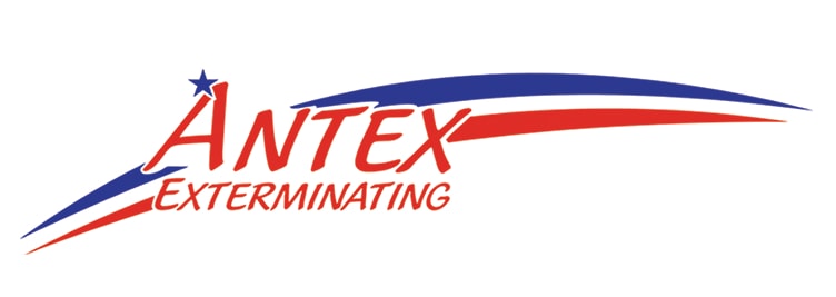 ANTEX Exterminating