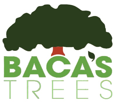 Baca's Trees