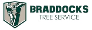 Braddocks Tree Service