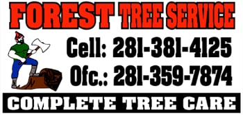 Forest Tree Service