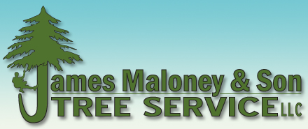 James Maloney & Son Tree Service