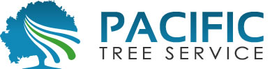Pacific Tree Service