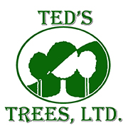 Ted's Trees