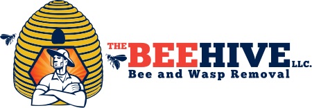 The Bee Hive LLC