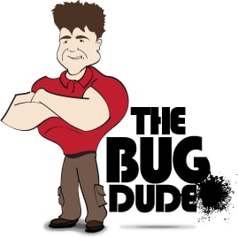 The Bug Dude