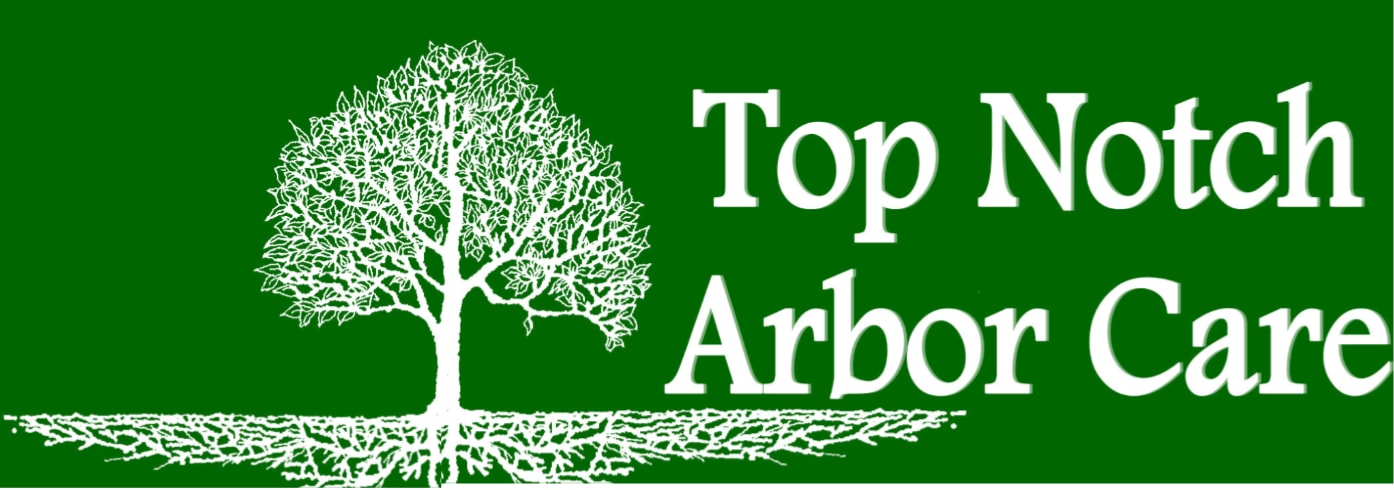 Top Notch Arbor Care