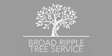 Broad Ripple Tree Service