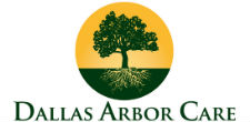 Dallas Arbor Care